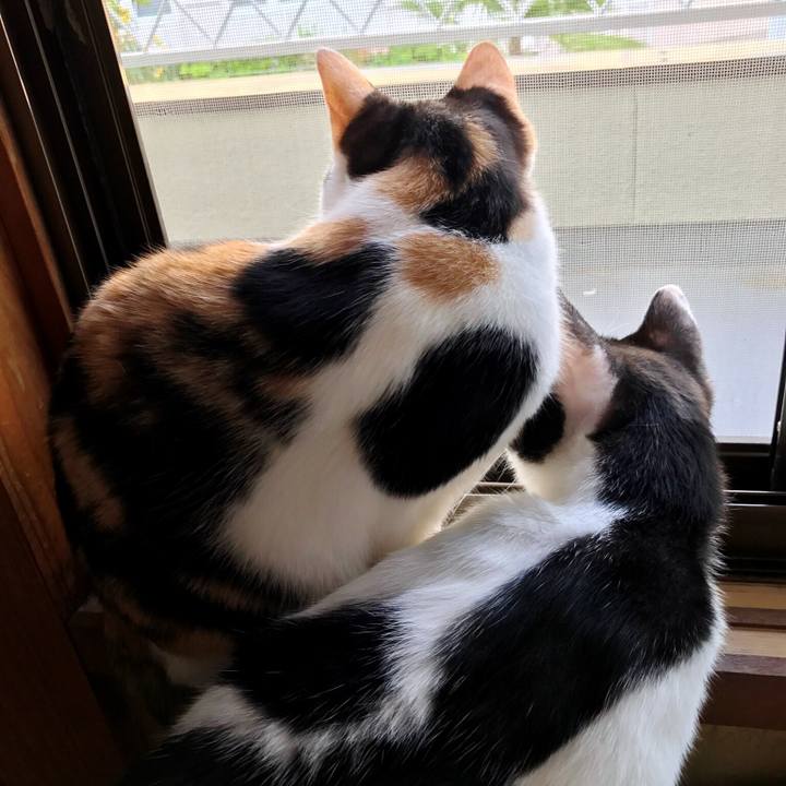 07584b2d 04d0 4a45 b1a0 143a9929e996