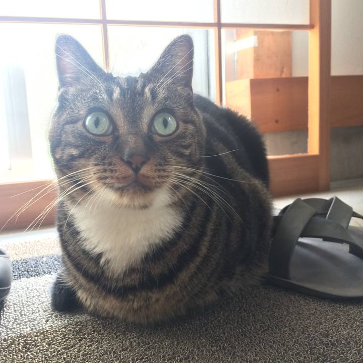 0758c571 5fa9 47f0 b697 d2a31865bb1b