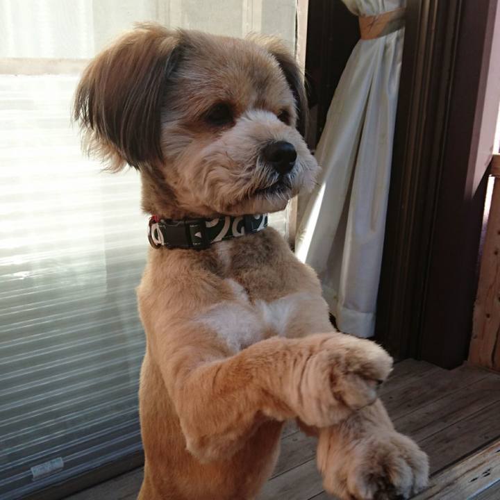 07591ac8 3034 42a1 968c e1468f176c5b