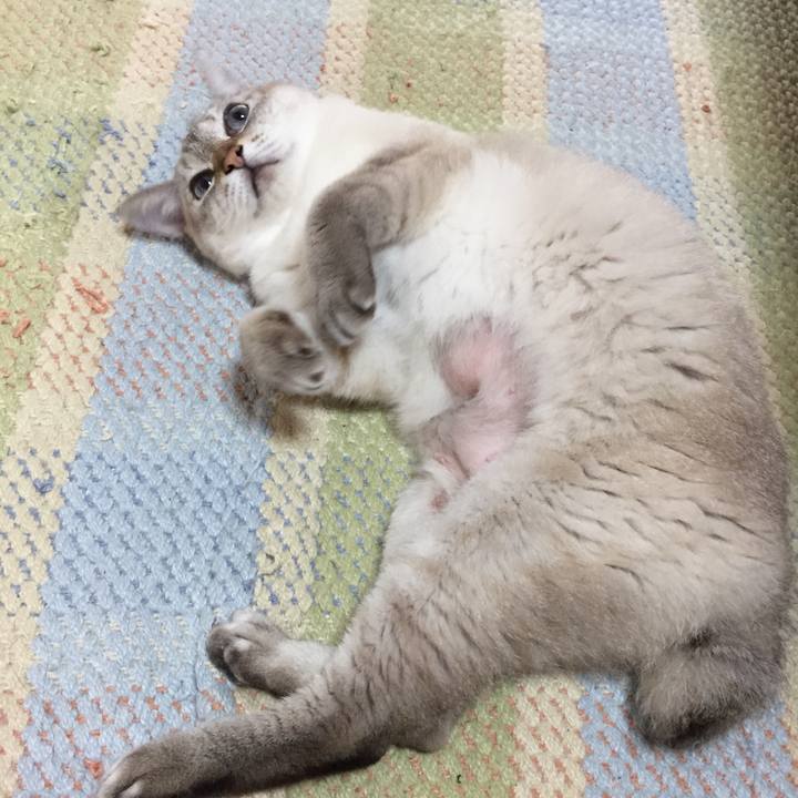 0759af5e 5494 49a4 b101 cb3a3f79aa63