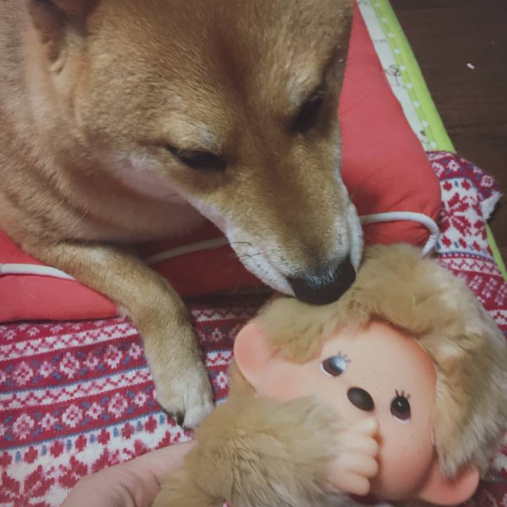 0759c288 2124 4666 a750 3e63f2c9ddfb