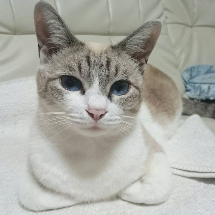 0759c843 4d9d 40b6 b316 82d082e24538