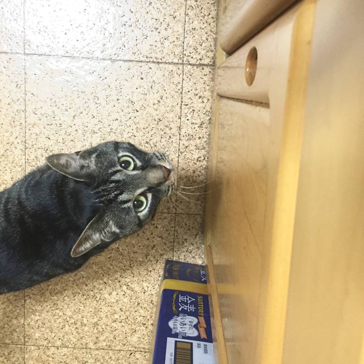 0759ed2a 8785 4953 87df 80e9361f873d