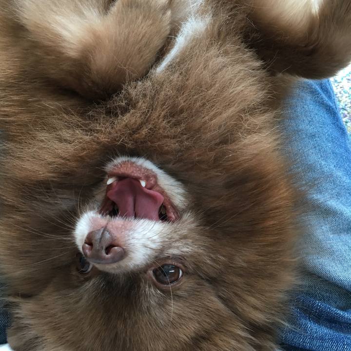 075a3001 abcd 4a61 970a ba24acd4f1d2