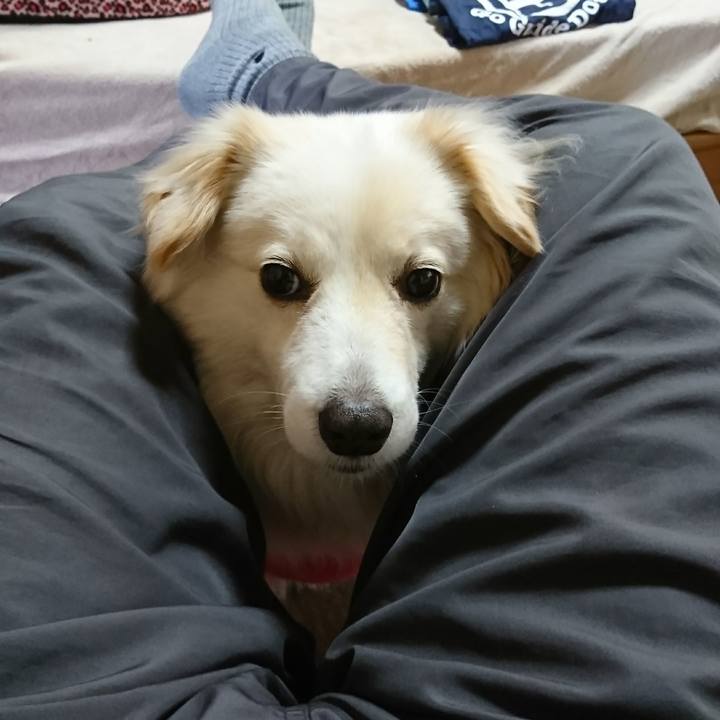 075a7928 e08a 43e2 895b 521f948c94ec