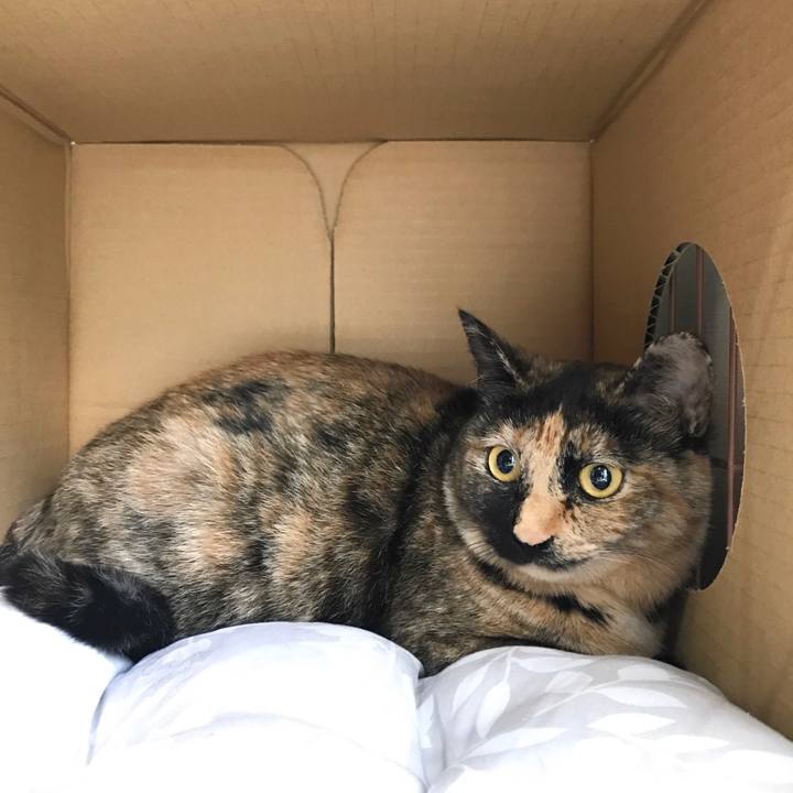 075a991b 11c1 4ca6 99a5 c521279adf2a