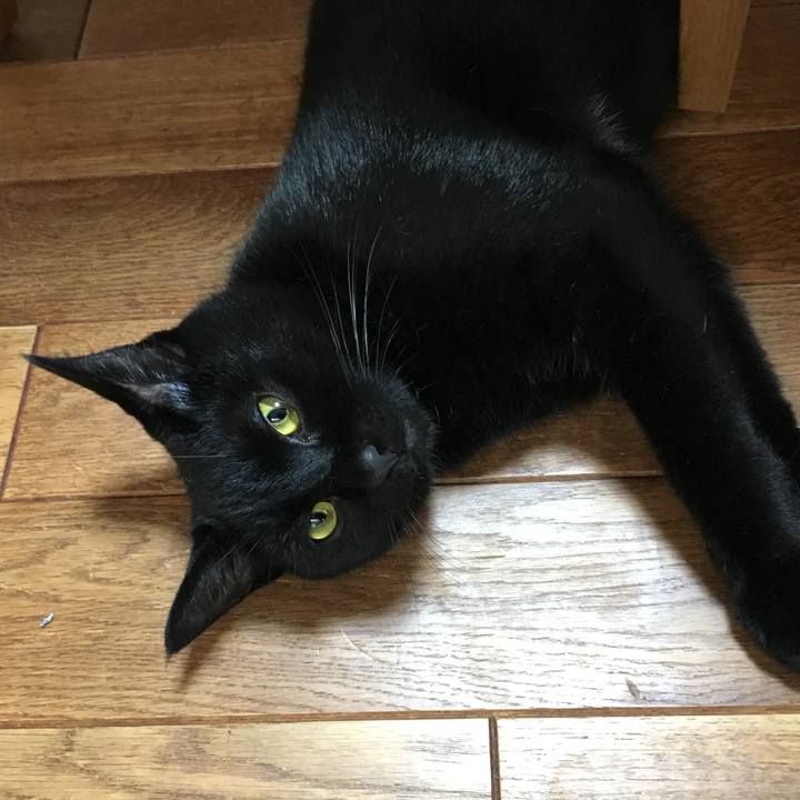 075af3b9 c570 4b2a b13b 4aa324dec4f4