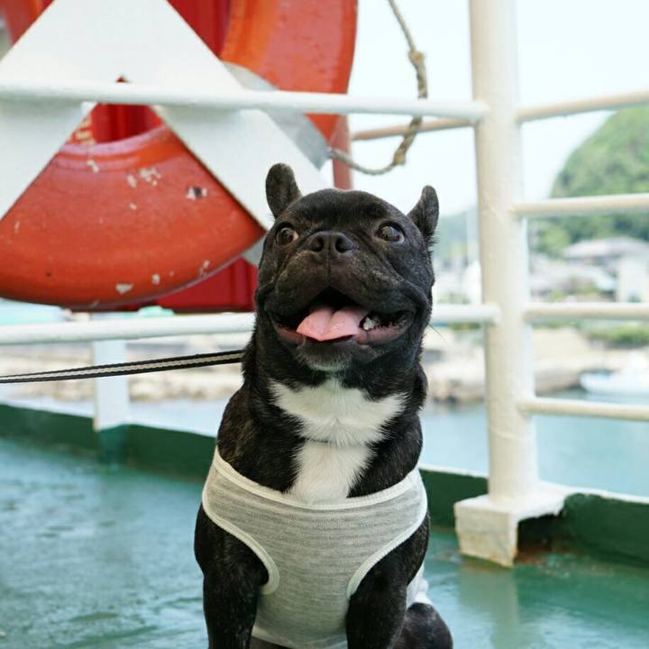 075afe04 dd63 4214 bee6 b7f4b3bdc82a