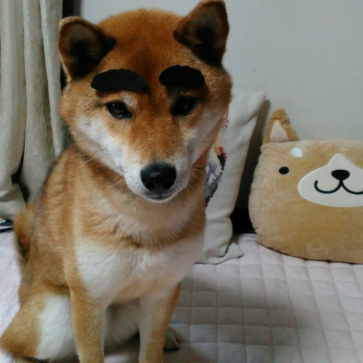 075b1989 5dc8 47ad 9759 8bfef44c01fc