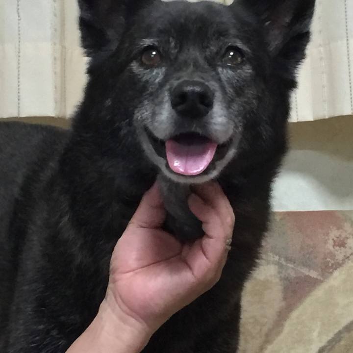 075b1f34 8109 4ac3 8612 b4f8bd158045