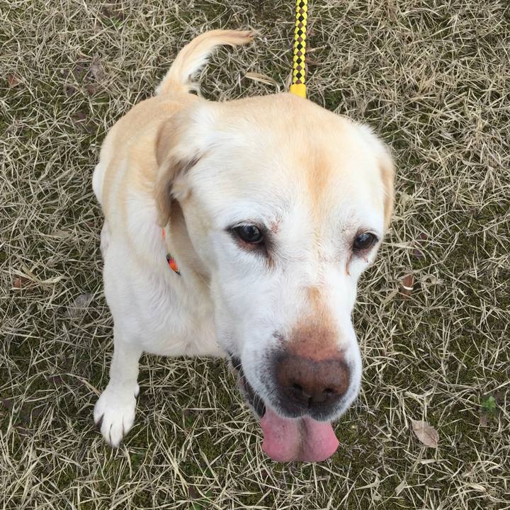 075b2c90 d1c7 46bf acef 7550a80ced65