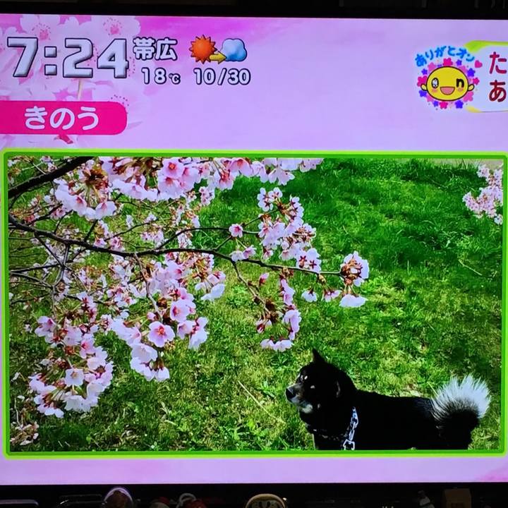 075b36f1 6274 43bc aa76 090f5a188d83