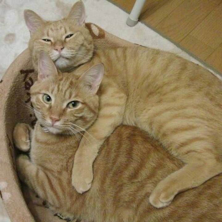 075b4514 bf76 4af2 b3e1 91cdc4e85750