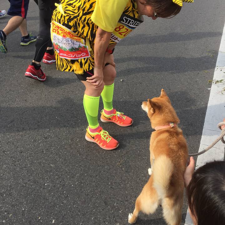 075ba46f e76e 402b 8deb 9631bb4af56f