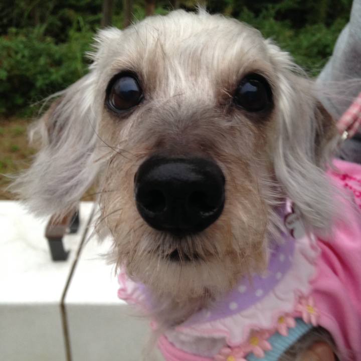 075befd1 ecbc 4806 ac55 50335f09aaf8