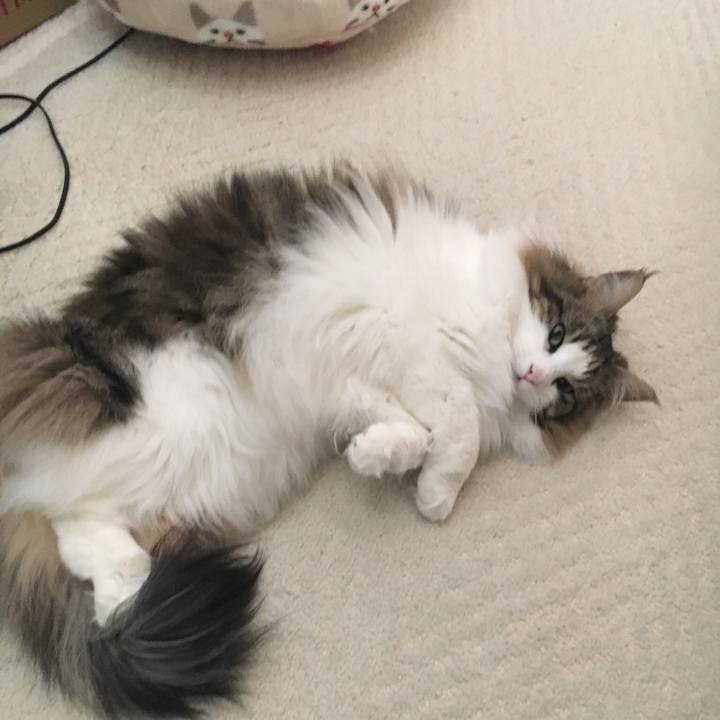 075c51c3 5a3f 4d05 8007 fe2555d62232