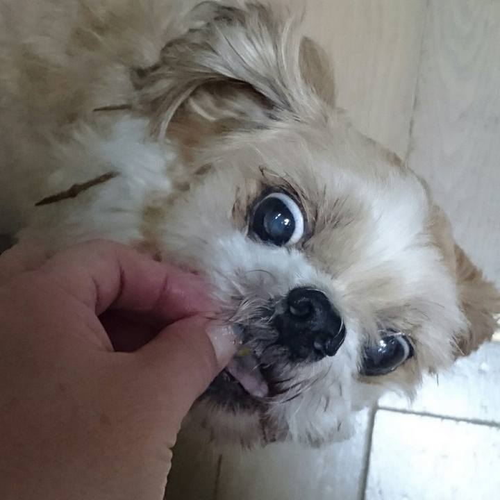 075c659e c991 42a5 959a f15e758754aa