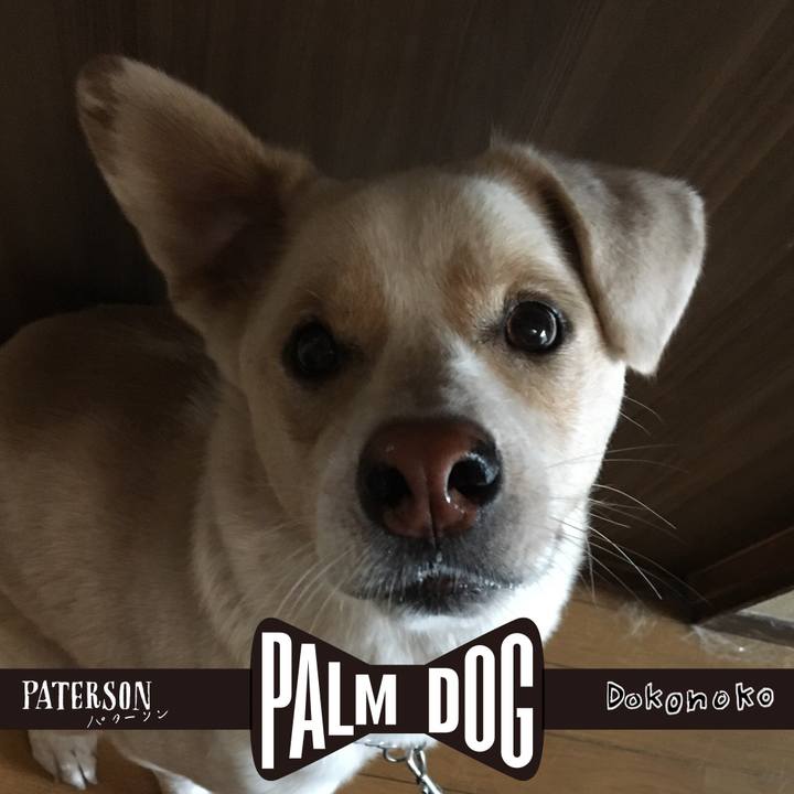 075c71fb 589e 4fdc 9911 d21eb29f2153