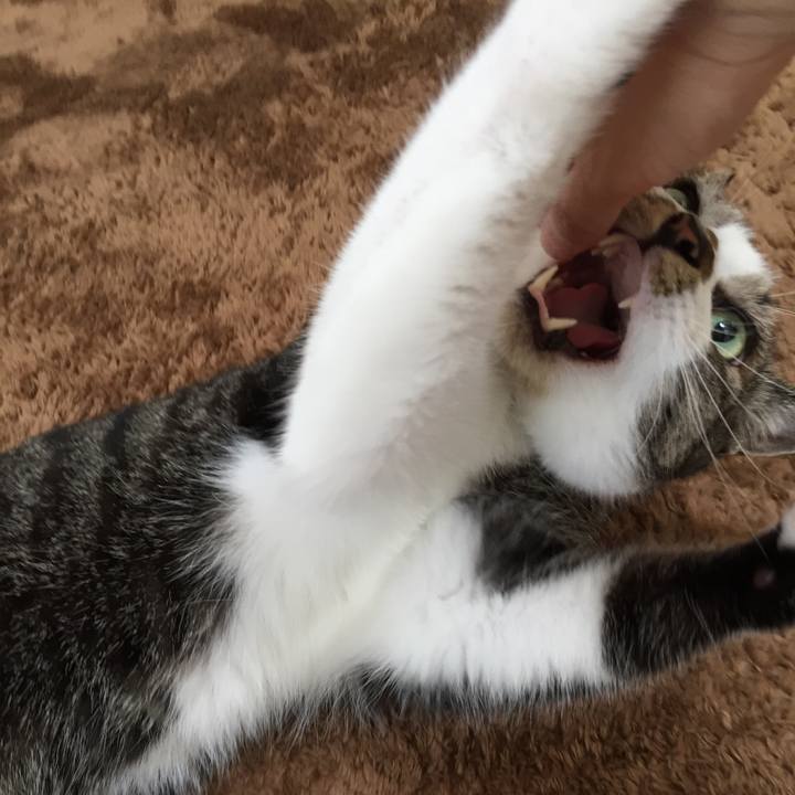 075c8f73 efd3 4c4e 8136 3516dd1072b2