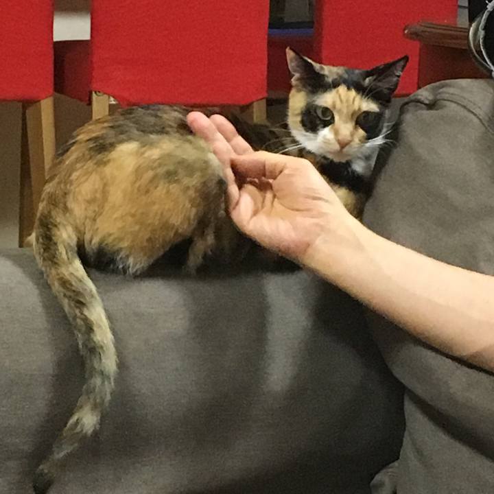 075d152b 7238 45e9 b21b cefb49140ec9