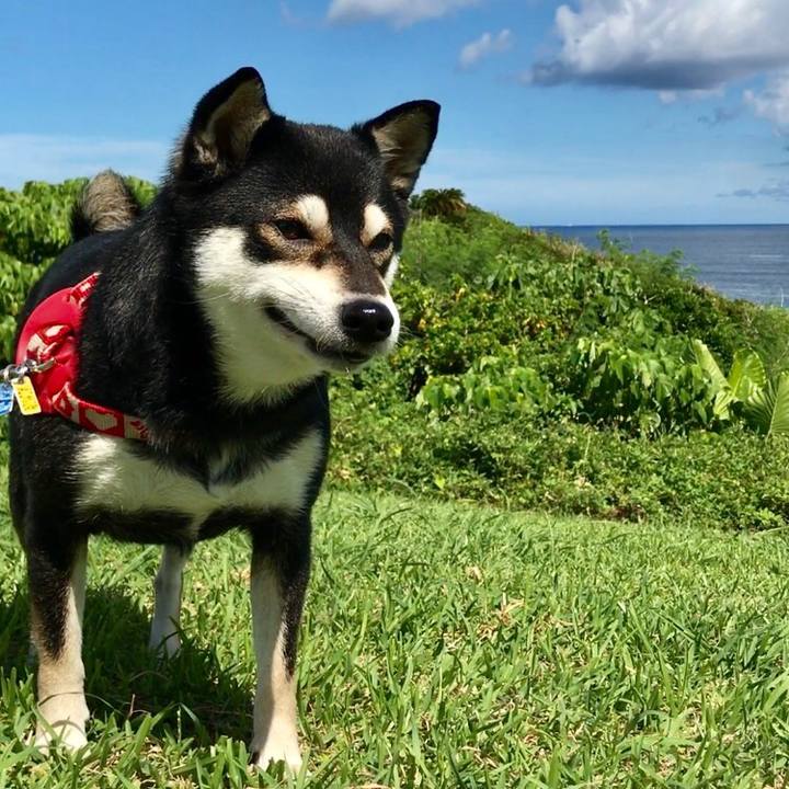 075dbc19 46d6 42ed 9603 8f247c639ad8