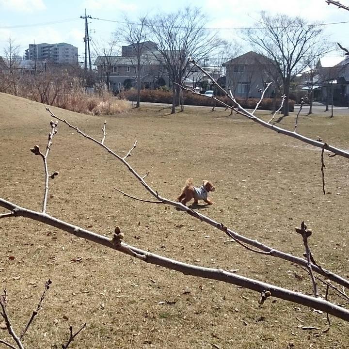 075e90fe 5ae2 428b ad3b c7cadc18e253