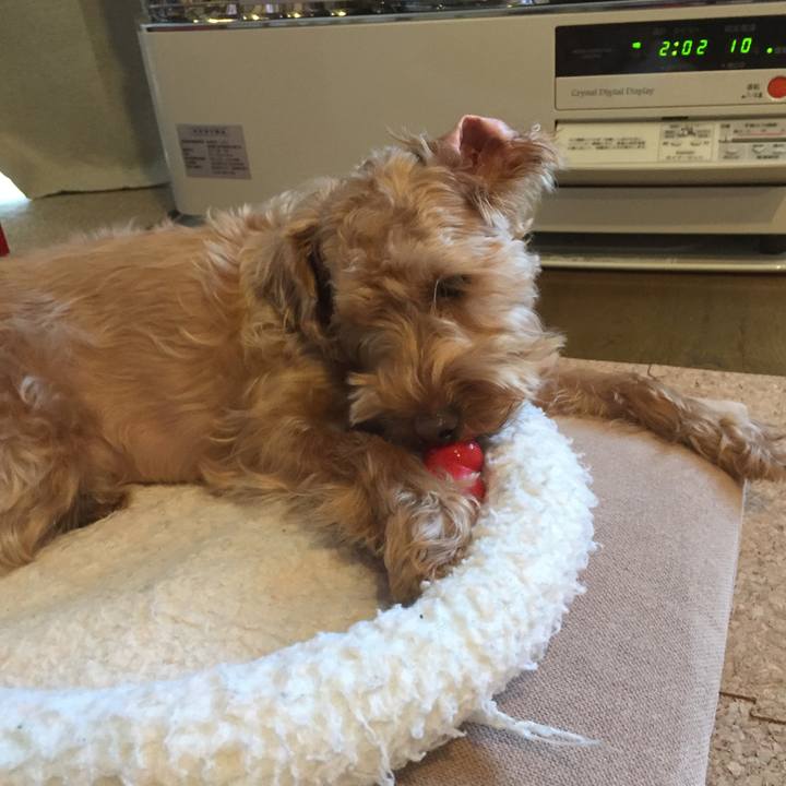 075f32f1 dbab 4a33 ba20 25fdcc98a52f