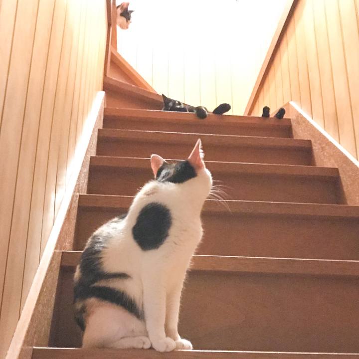 075f9e2a 71bc 46f9 9235 2c79ed069532