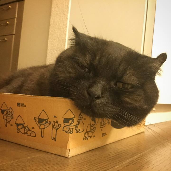 07600a60 cf43 455e ab59 2abbb168edad