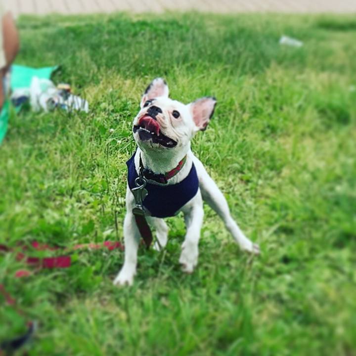 0760259d 1533 4e9e 9deb 3aefe6e47570