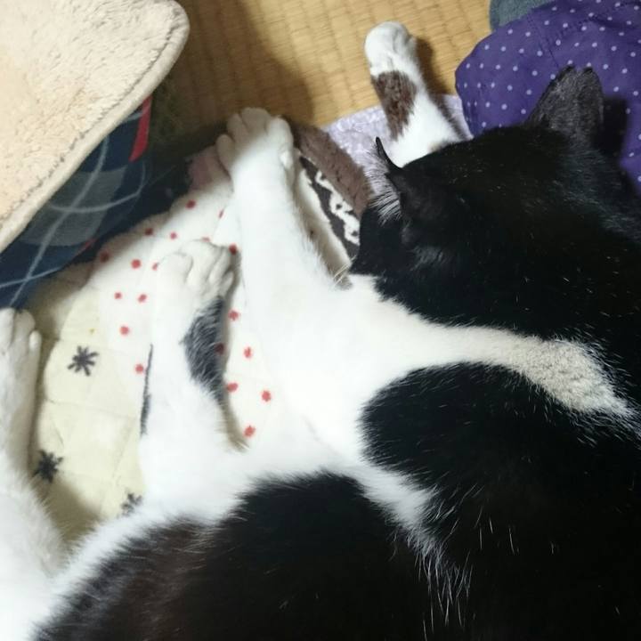 076078ba 06f4 4542 94de 8a1d49b1282c