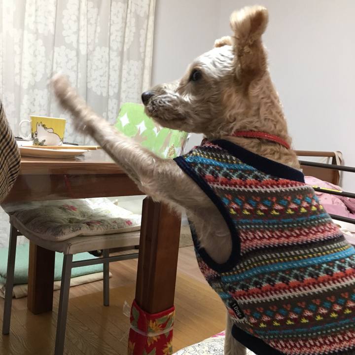 0760be17 8357 4a54 bfea 39140508f3e4