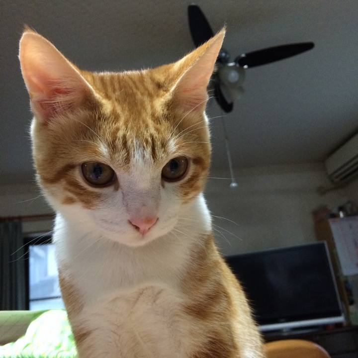 07611113 ffb5 4707 9aa5 4e4201435f3c