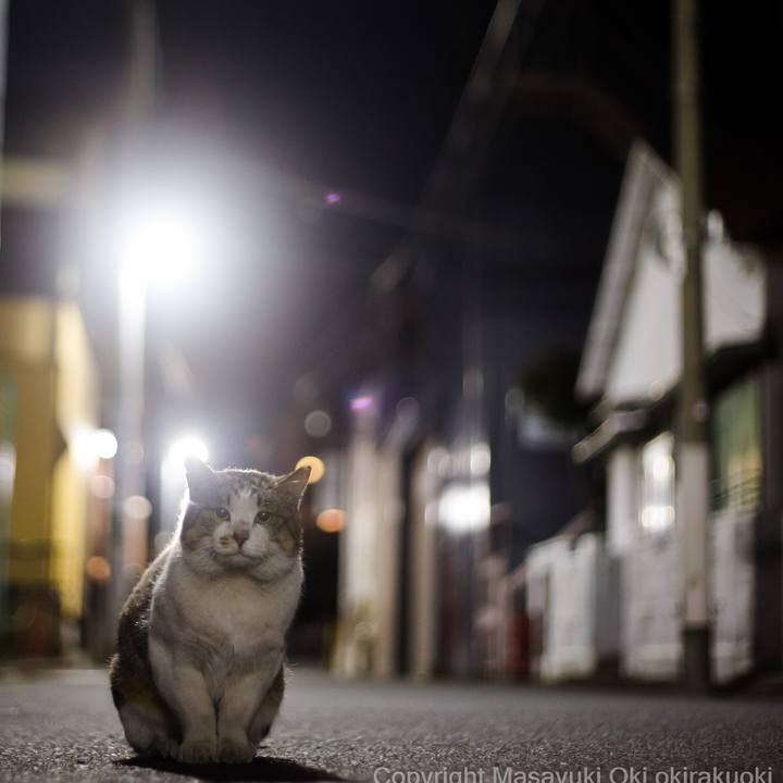 0761e5c2 d046 4f95 b222 608c3ac84d97