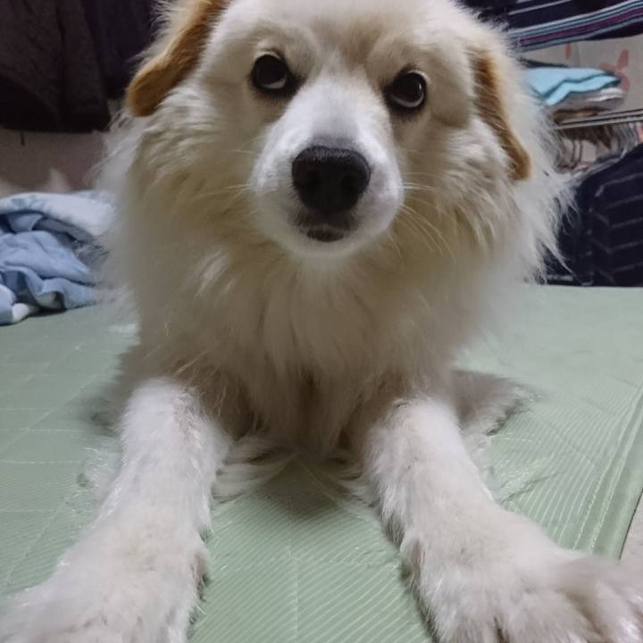 07620502 e092 471e 82e0 a76d35476891