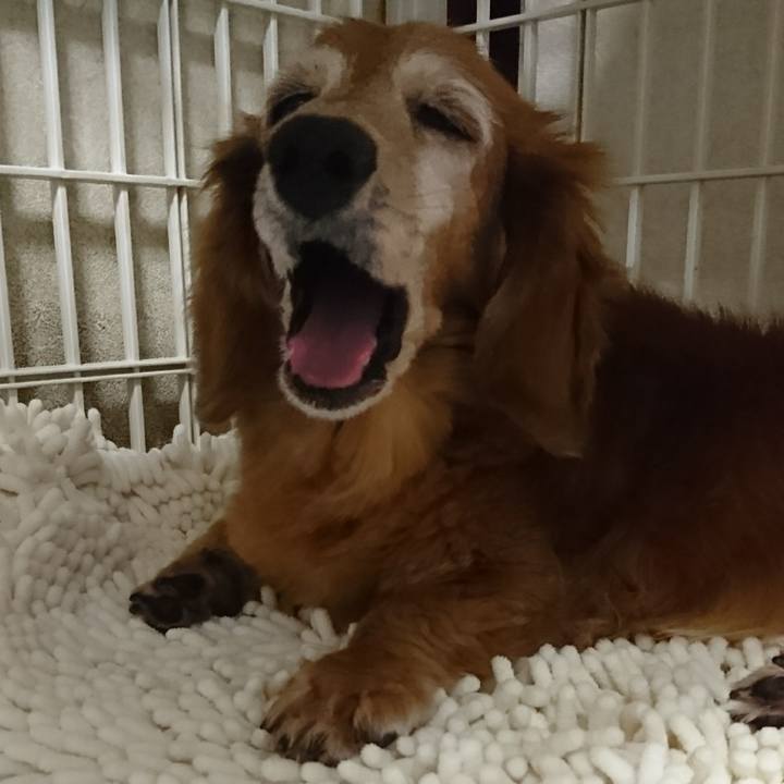 07621431 4466 403c 9f7e 879f5e1b130b