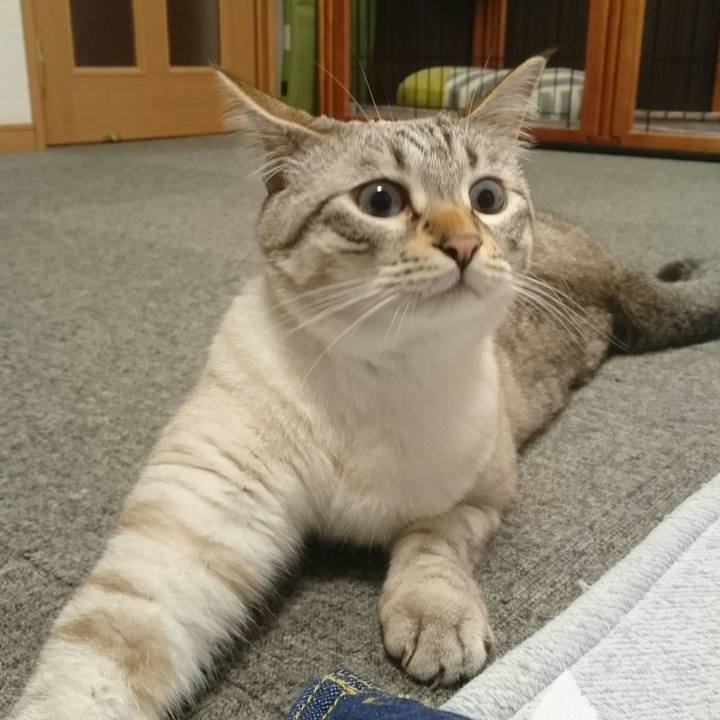 07621618 ee51 41de 8763 51e9ca811338