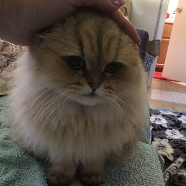 0762ac73 579e 4d1e 9641 18b511feaf5d