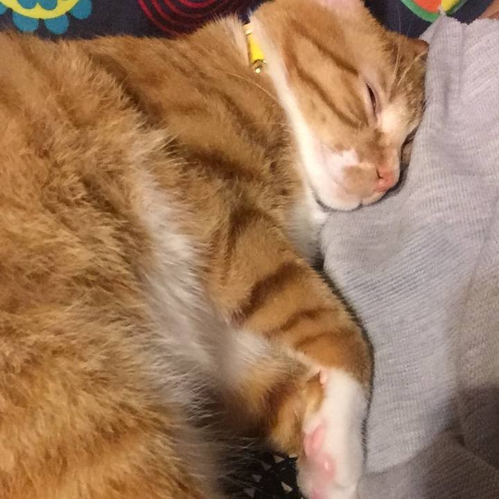 0763121a e216 4111 a956 40bd34b2aae2