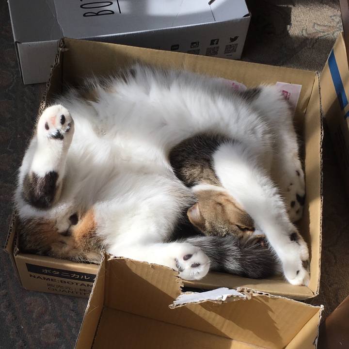 07636629 2af3 404a 9c84 ea9f3fd29771