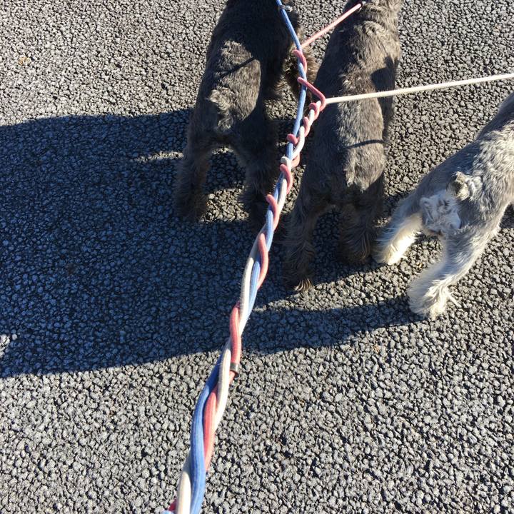 07637ef8 a016 43c2 8307 87ff362a0a5a