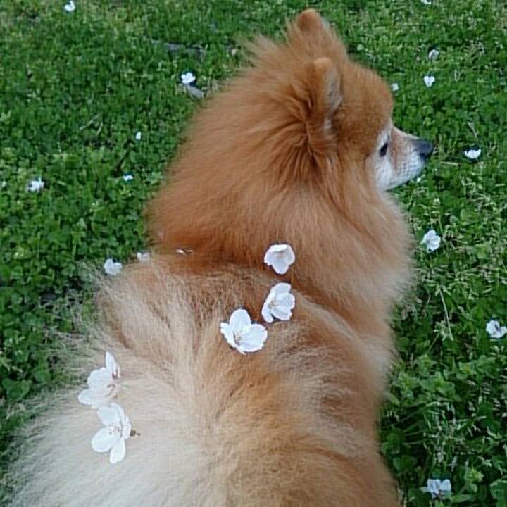 0763f3b3 f31e 4e3b b3eb 8f638487f947