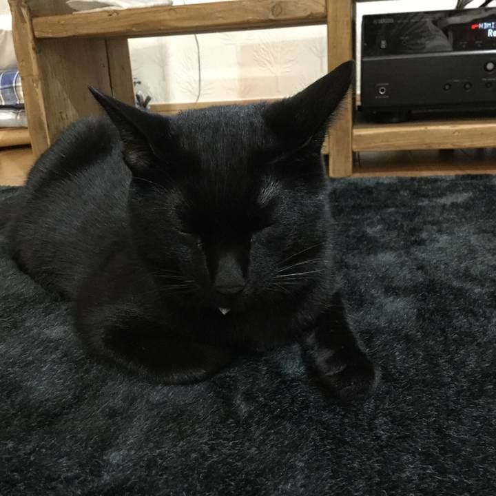 0764e3c2 af95 4a9d b083 d8729d0957f9