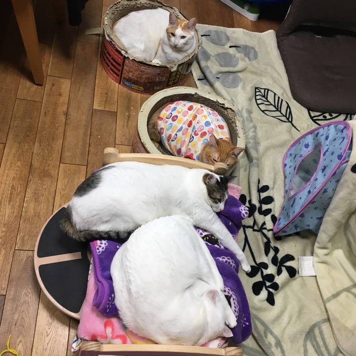 0765bc6c 3a39 4dc1 a99d 3c6dfb092780