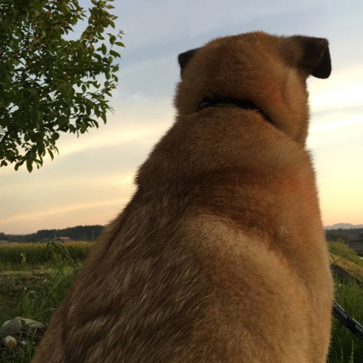 07662501 3c31 4af0 9fec 41d0698d3618