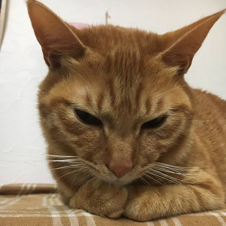 07662c33 b8f3 4618 afd4 df2d5f938ec1