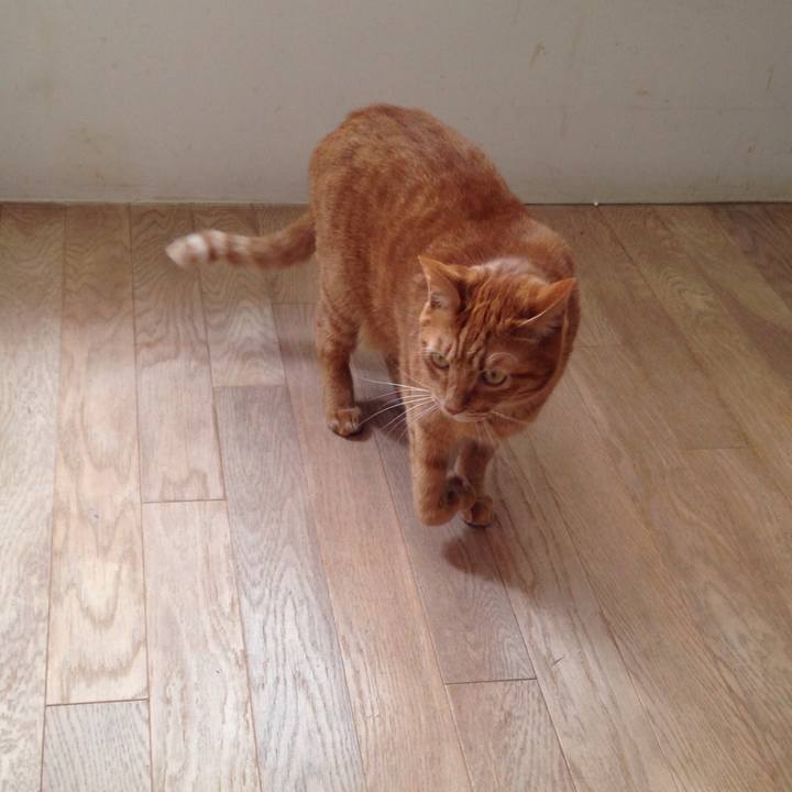 076682c3 494e 42a6 997b 714d6a5ea38f