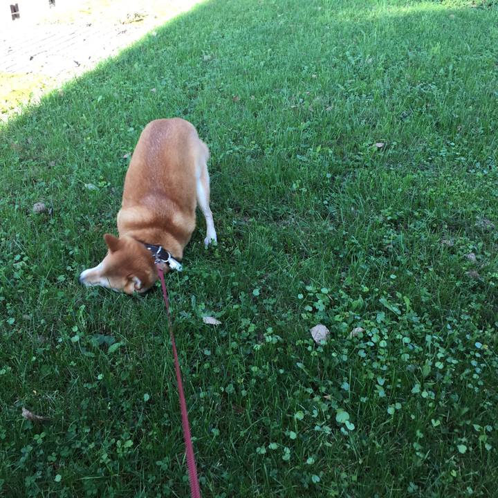 076683ad 12a2 4c1f a877 6e5dd8f6de43