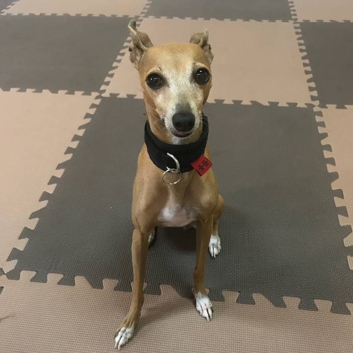 076750e4 b85f 4122 9c8a ae86ca678ed1