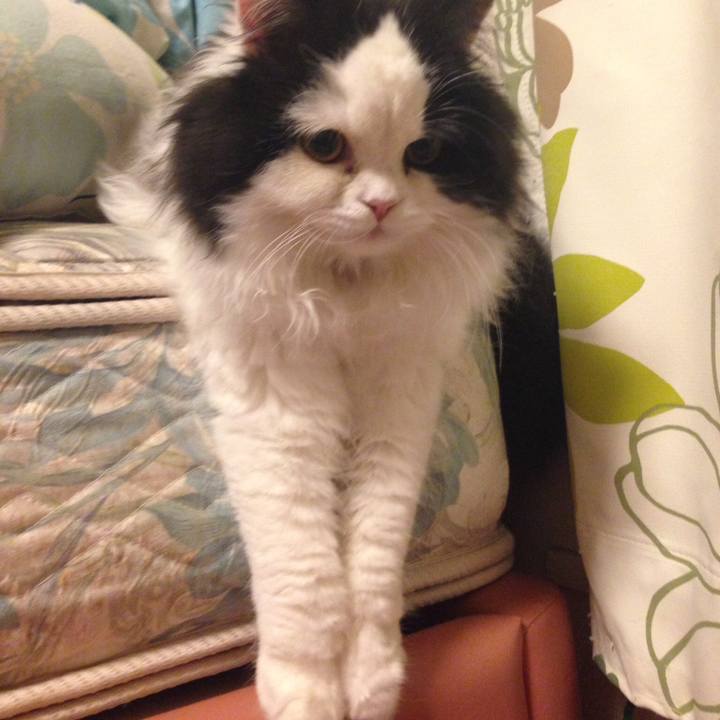 0767ea63 6084 49dc 9d81 03cf9011b7e5